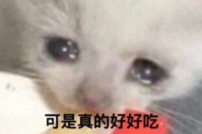 分享一组图～
搜索用：流泪猫猫头/哭泣猫猫/crying cat/哭哭猫/猫咪/表情包