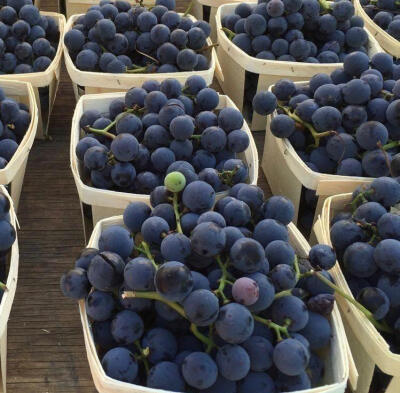 再见一次还会心动