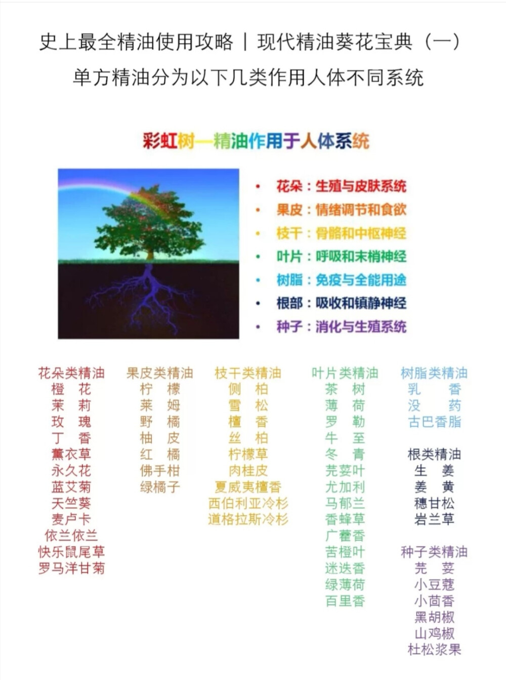 精油使用攻略