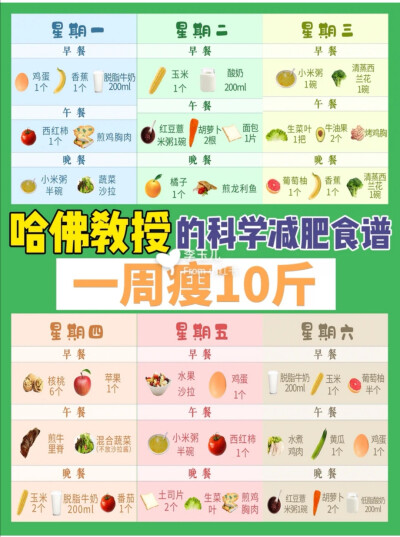 减肥食谱（作者:李玉儿）