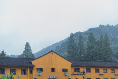 有所求
摄影：洪小漩
场景：上天竺法喜寺
每年都会去上天竺法喜寺进香祈福，较之往年都是在正月，今年特殊情况，便延期到了现如今。
此前，来向菩萨求过家睦，求过姻缘，求过安居，今年只求国泰民安，以及肚子里…