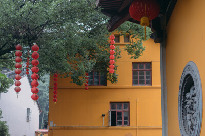 有所求
摄影：洪小漩
场景：上天竺法喜寺
每年都会去上天竺法喜寺进香祈福，较之往年都是在正月，今年特殊情况，便延期到了现如今。
此前，来向菩萨求过家睦，求过姻缘，求过安居，今年只求国泰民安，以及肚子里…