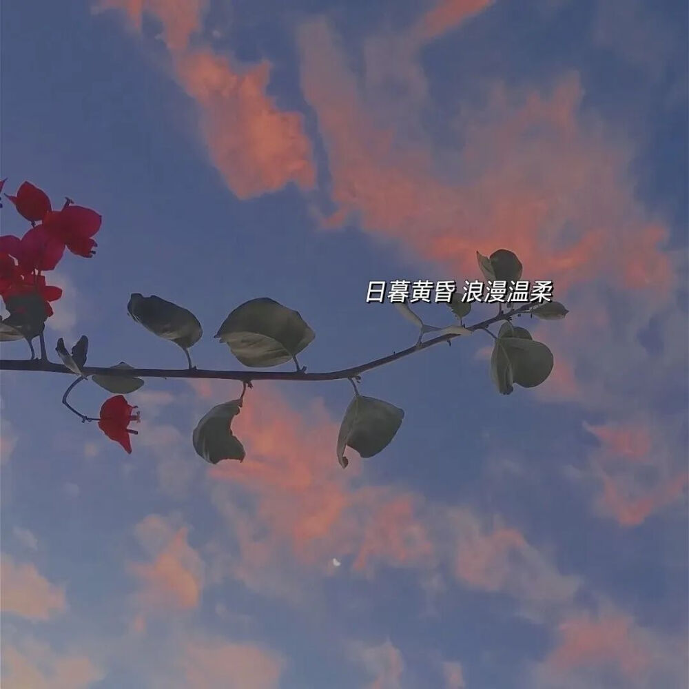 ♡背景图
♡夏天的风轻轻吹过，谢谢你还记得我.