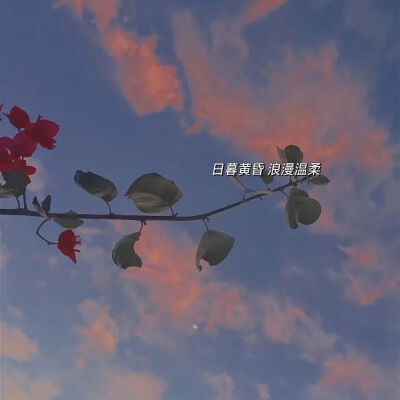 ♡背景图
♡夏天的风轻轻吹过，谢谢你还记得我.