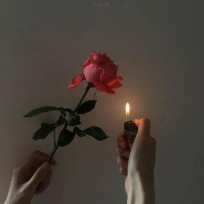 ♡背景图
♡夏天的风轻轻吹过，谢谢你还记得我.