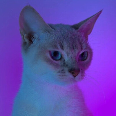 小众头像