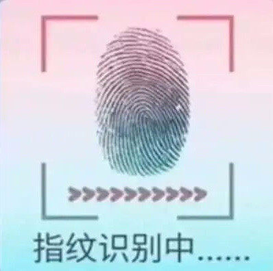 指纹识别系列表情包
