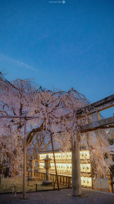 好看的背景