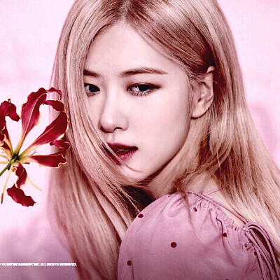 Rosé