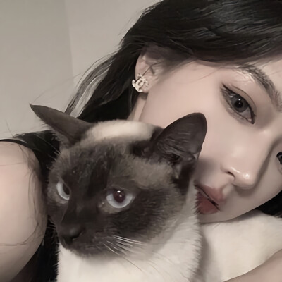 猫咪很可爱_喜欢猫的女孩当然更可爱(๑• . •๑)