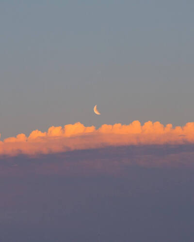 风景ins背景图
礼貌拿