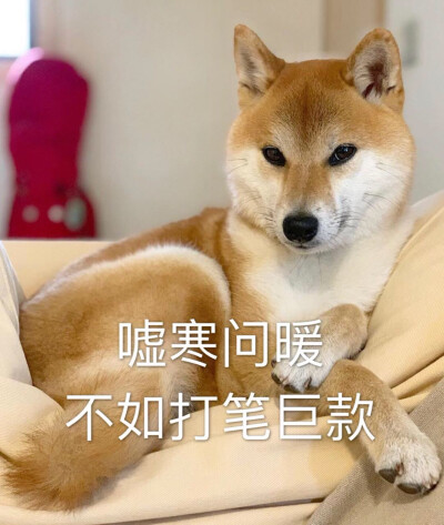 小动物表情包