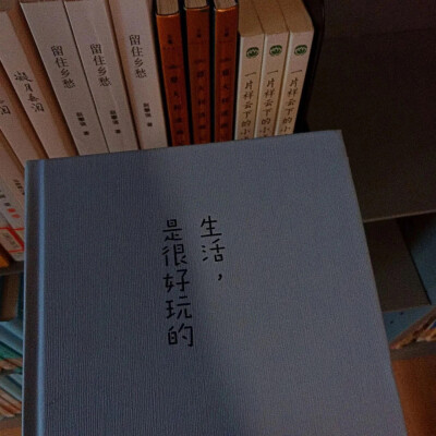 偷得浮生半日闲