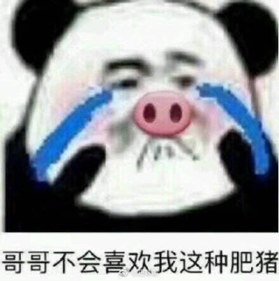 表情包