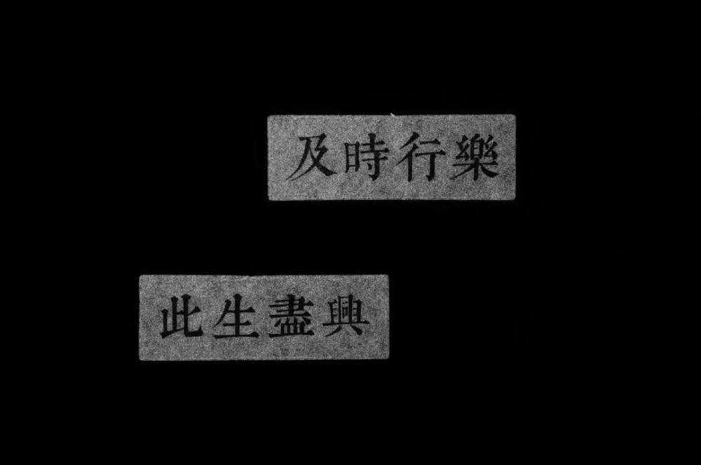 “一起逃跑吧，远离这尘土飞扬的地球。让他们劫掠我们的声带，上交你我的所有。我们漂浮宇宙，我们游走星宿，然后逛遍月球。”