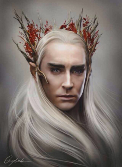 指环王 霍比特人 精灵王 精灵王子 幽暗密林的精灵