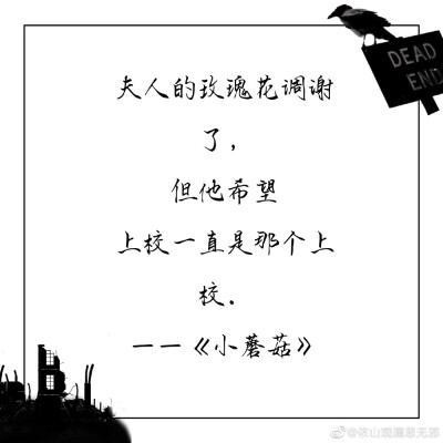 小蘑菇