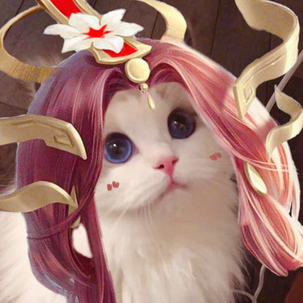 可爱的吴kiwi王者头像