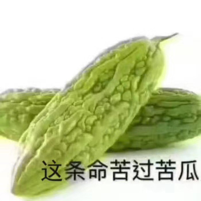 快乐每一天