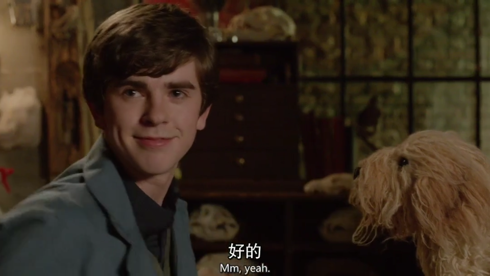 弗莱迪海默 《贝茨旅馆》精选 Freddie Highmore