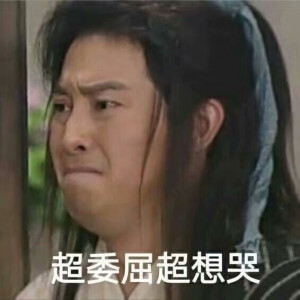 武林外传表情包