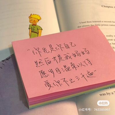 Explore mum 216 and experience hidden pleasures