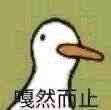 鹅鹅鸭鸭表情包