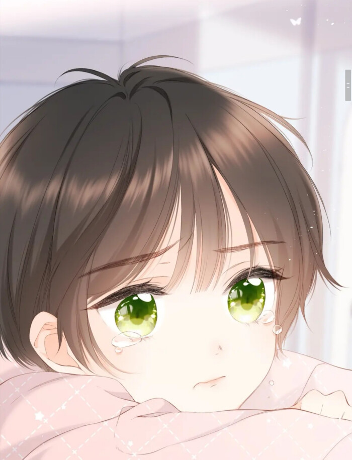 再度与你荀桉杨沐礼