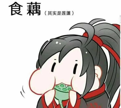 魔道祖师