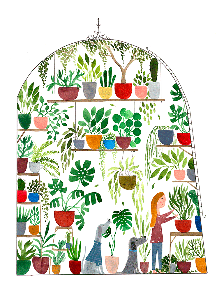 
植物插画