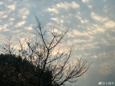 天空背景
向日葵只有一个太阳，而太阳有好多向日葵。
今天是我来堆塘的第1天，第1个月目标粉丝到50加油。