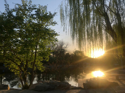 天空背景
向日葵只有一个太阳，而太阳有好多向日葵。
今天是我来堆塘的第1天，第1个月目标粉丝到50加油。