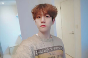 还是仙子的小啵