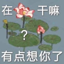 表情包