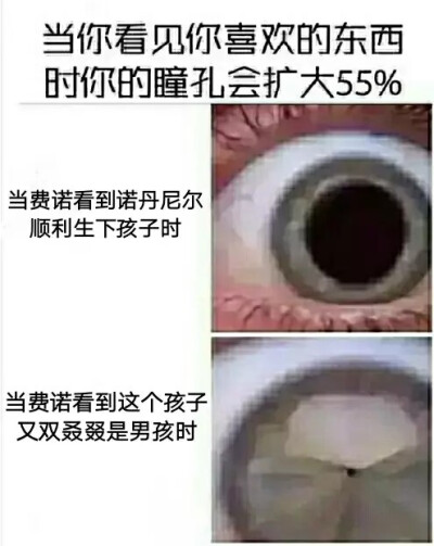 精灵宝钻