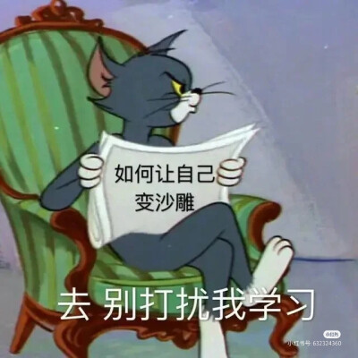 猫和老鼠吖～
猫和老鼠吖～
