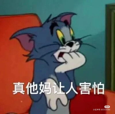 猫和老鼠吖～
猫和老鼠吖～
