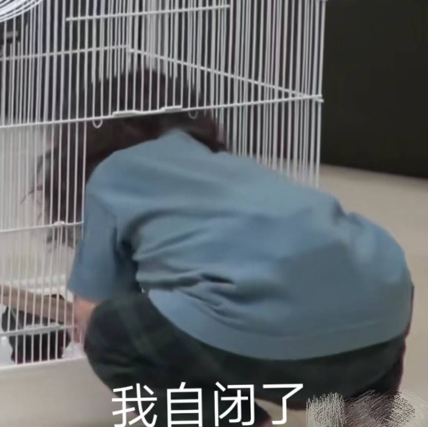 猪猪弟弟(图源自朴建厚超话。部分见水印~)