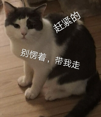 九宝和妈妈