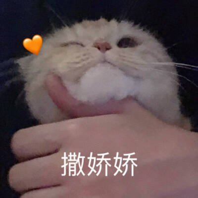 图源wb橘猫沙梨Sally