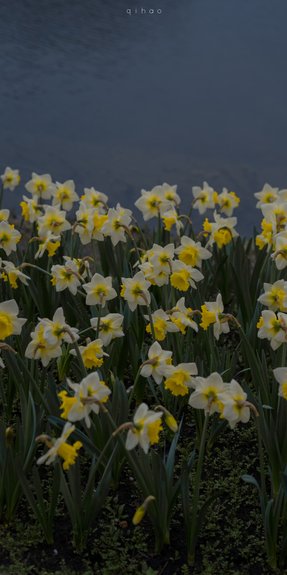 摄影博主：七号-