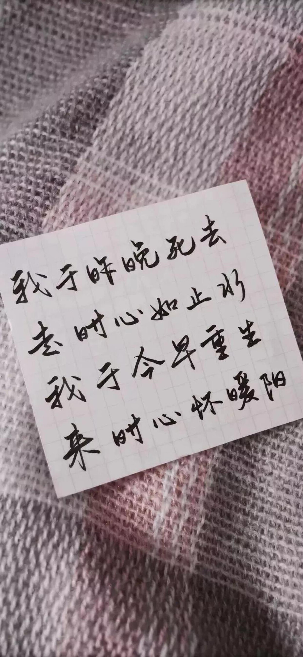 手写 文字 治愈