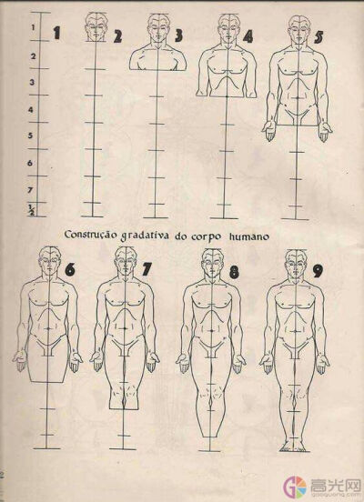 绘画教程 人体