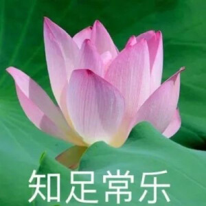 混入家长群头像 花