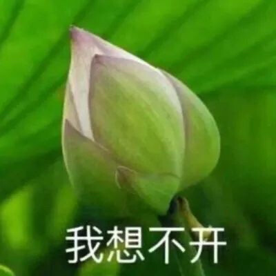 混入家长群头像 花