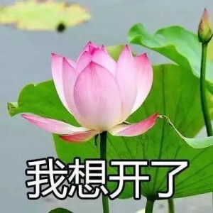 混入家长群头像 花