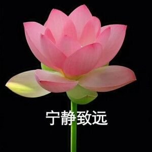 混入家长群头像 花