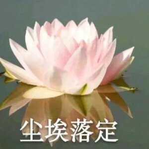 混入家长群头像