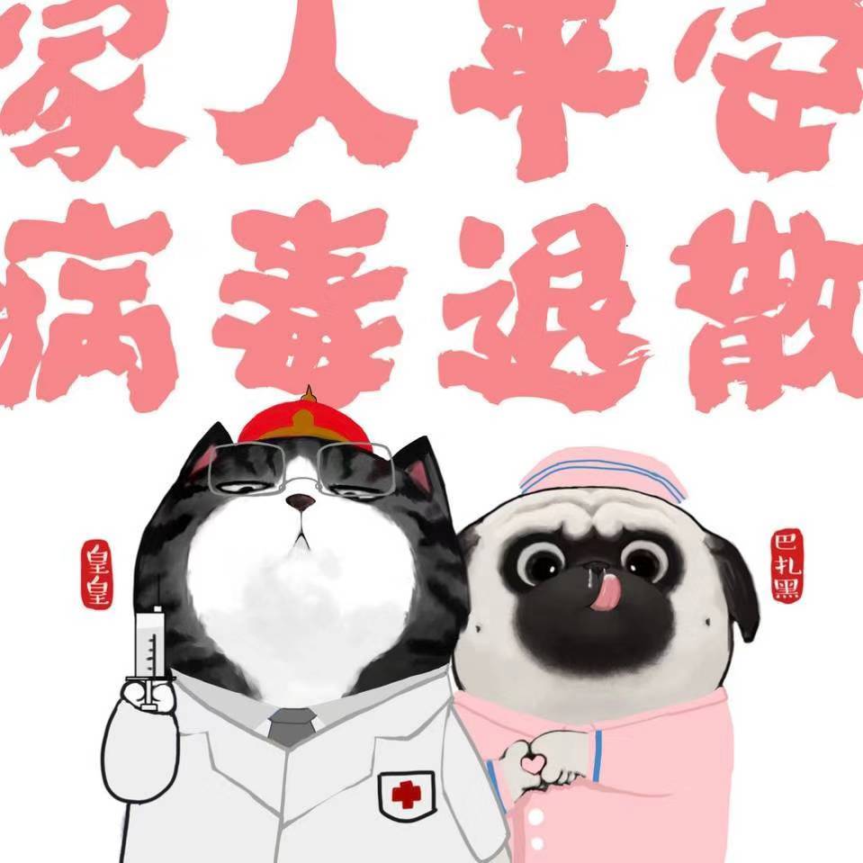 猫咪 头像