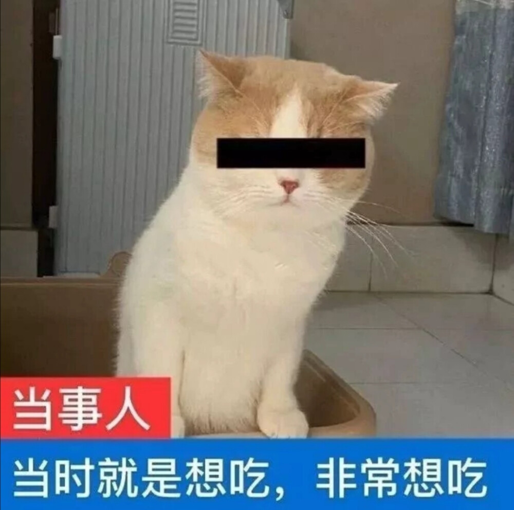 沙雕表情包